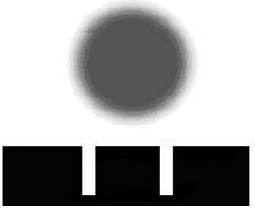 rys_1
